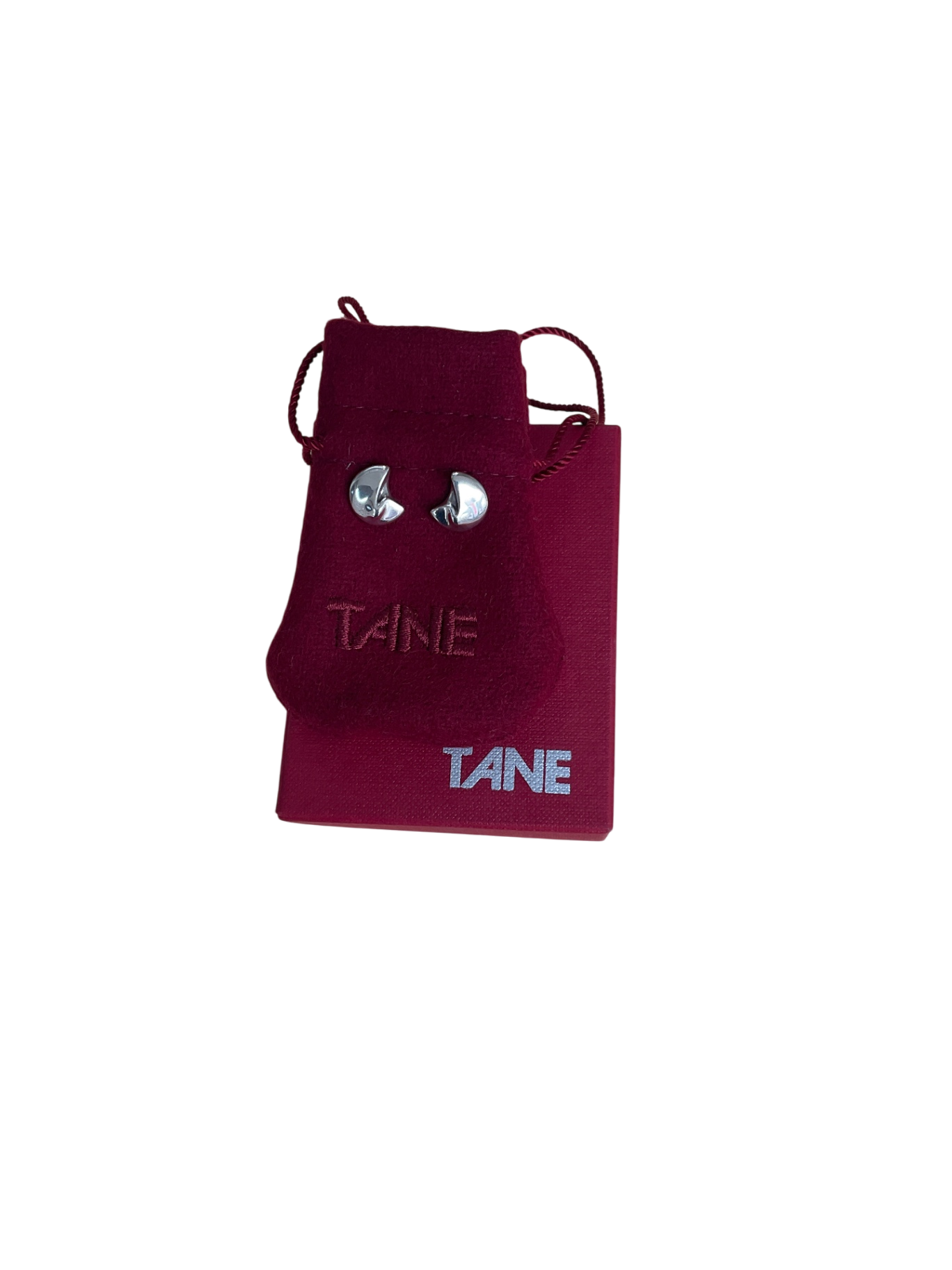 Aretes TANE, Plateado